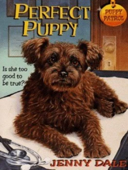 Image of Perfect Puppy by Jenny Dale and Michael Reid Book