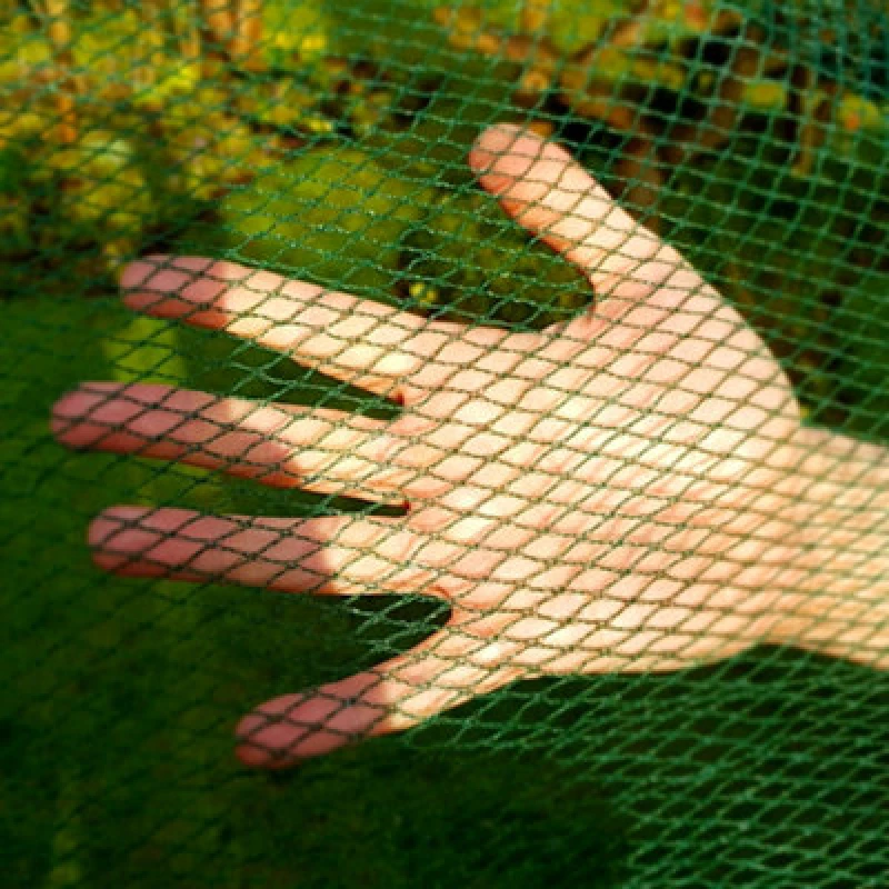 Image of Gardenskill Heavy Duty Cabbage White & Insect Mesh Netting 7mm Dia For Protecting Brassicas 6M X 50M