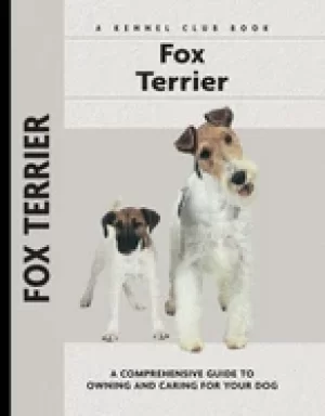 Image of fox terrier