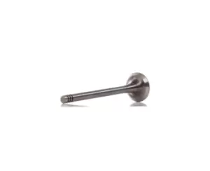 Image of AMP Exhaust Valve BMW PBMW010-A-0-N 11341722911