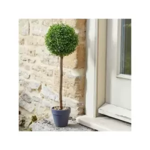 Image of Uno Topiary Tree