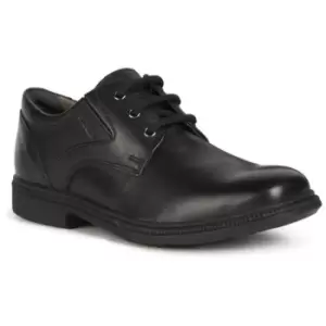 Image of Geox Boys Federico Lace Up Leather School Shoes UK Size 3 (EU 36)