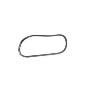 Image of RIDEX V Belt 10C0048 Fenner Belt VW,BMW,RENAULT,LT 28-35 I Kastenwagen (281-363),LT 28-35 I Bus (281-363),LT 28-35 I Pritsche / Fahrgestell (281-363)