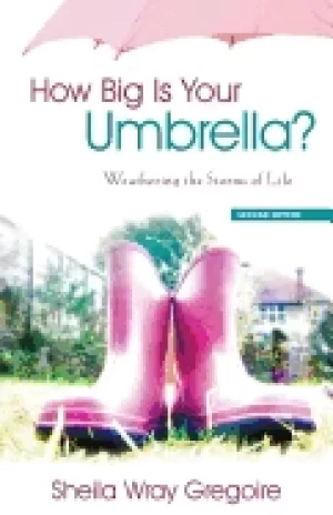 Image of how big is your umbrella weathering the storms of life second edition