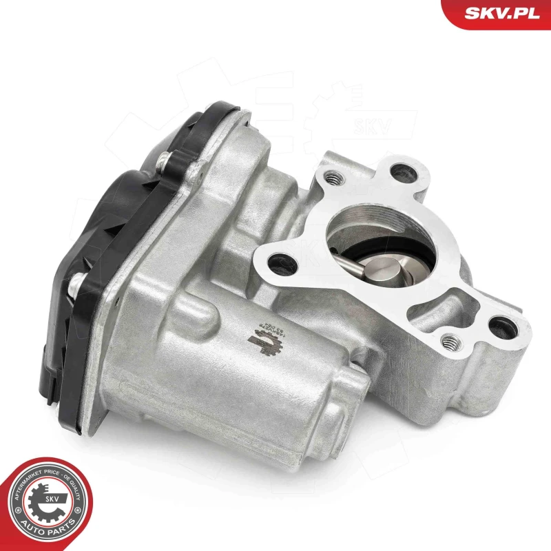 Image of ESEN SKV EGR valve ESEN SKV 14SKV276