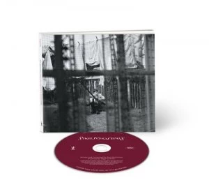 Image of Chaos and Creation in the Backyard by Paul McCartney CD Album