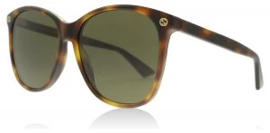 image of Gucci 0024S Sunglasses Havana 002 58mm