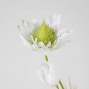 Image of Crossland Grove Blushing Bride Spray White (6Pk) 660Mm