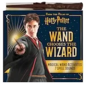 Image of Harry Potter: The Wand Chooses the Wizard
