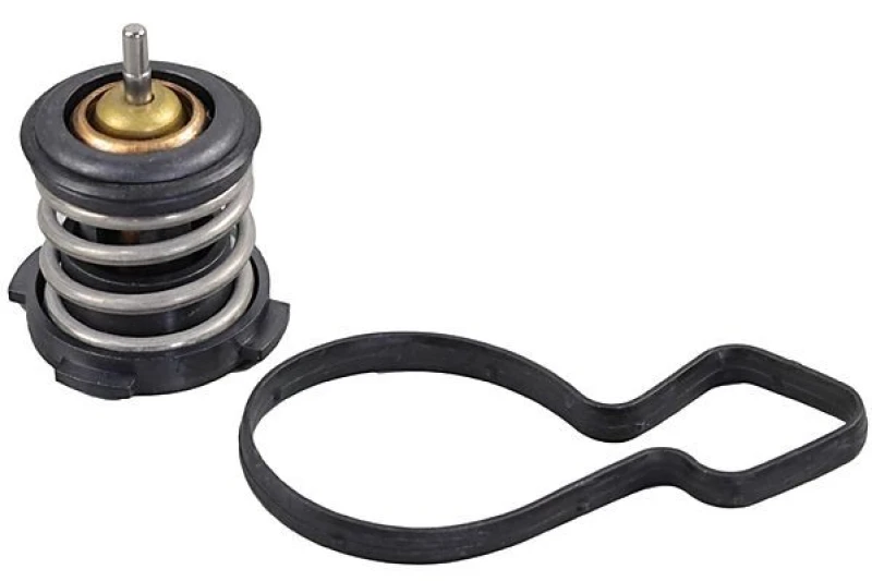Image of Thermostat METZGER 4006371