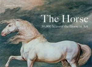 Image of The Horse by Tamsin Pickeral Hardback