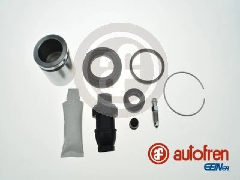 Image of AUTOFREN SEINSA Repair Kit, brake caliper AUTOFREN SEINSA D42021C