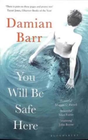 Image of You will be safe here by Damian Barr