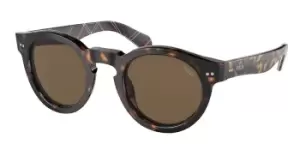 Polo Ralph Lauren Sunglasses PH4165 500373