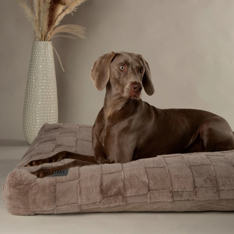 Image of Scruffs Oxford Dog Bed Mattress Large Camel, Brown BED/RCD/829931