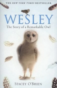 Image of Wesley by Stacey Obrien Paperback