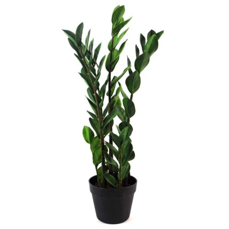 Image of Leaf 75cm Artificial Zanzibar Green Gem Zamioculcas Succulent Indoor Plant Green
