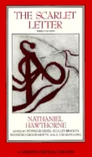 Image of scarlet letter an authoritative text essays in criticism and scholarship