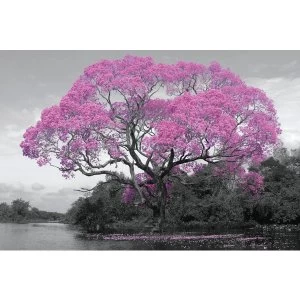 Image of Tree Blossom Poster