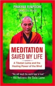 Image of Meditation Saved My Life : A Tibetan Lama and the Healing Power of the Mind