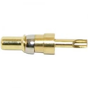 Image of High voltage connector pin AWG min. 20 AWG max. 16 Gold on nickel