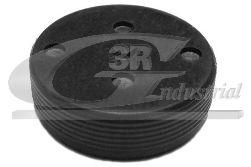 Image of 3RG Plug, rocker arm shaft mounting bore 3RG 84701