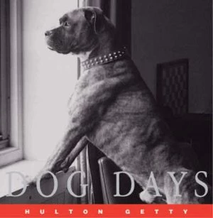 Image of Dog Days by Hulton Getty Picture Collection Hardback