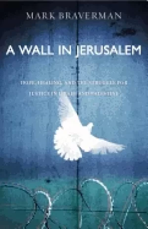 Image of wall in jerusalem hope healing and the struggle for justice in israel and p