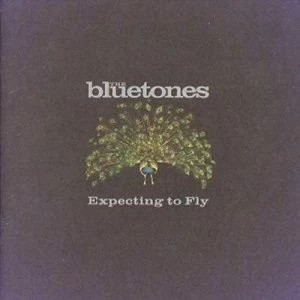 image of Expecting to Fly by The Bluetones CD Album