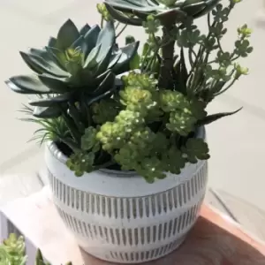 Image of Crossland Grove Potted Succulents Ceramic Pot Green Brown H240Mm