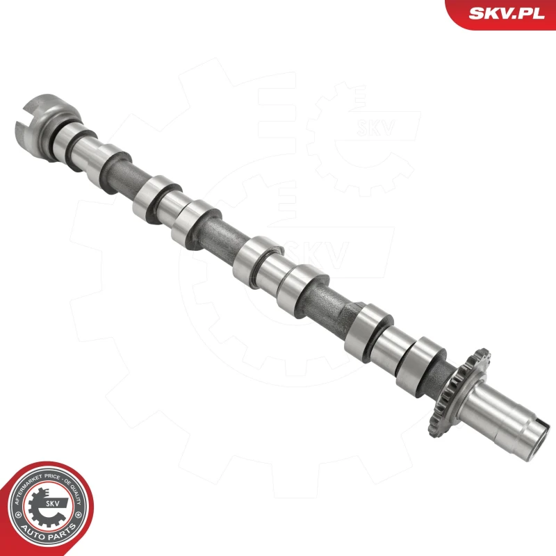 Image of ESEN SKV Camshaft ESEN SKV 80SKV041