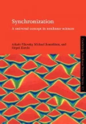 Image of synchronization a universal concept in nonlinear sciences