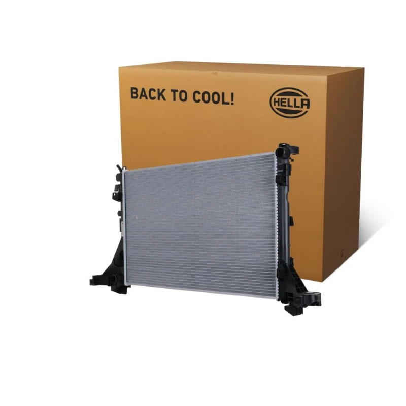 Image of HELLA Engine radiator HELLA 8MK 366 300-271