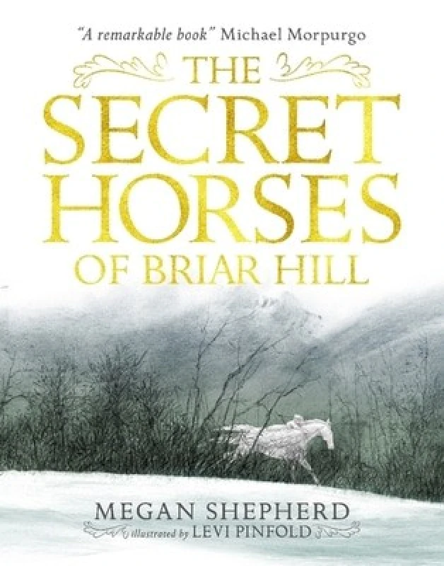 Image of Megan Shepherd The Secret Horses of Briar Hill Book Multi unisex