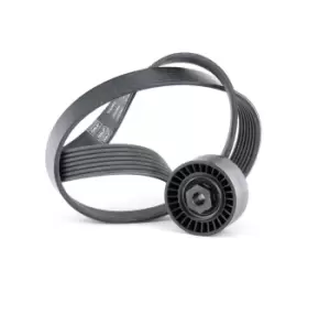 Image of SKF V-ribbed belt set VKMA 36057 Serpentine belt kit,Auxiliary belt kit RENAULT,Clio III Schragheck (BR0/1, CR0/1),TWINGO II (CN0_)