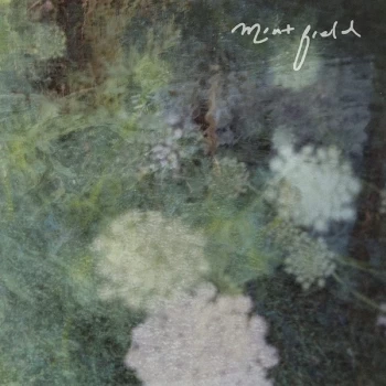 Image of Mint Field - Sentimiento Mundial Vinyl
