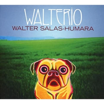 image of Walter Salas - Walterio CD