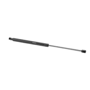 Image of RIDEX Tailgate strut FORD 219G0816 6142658,86VBV406A10CA