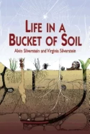 Image of life in a bucket of soil