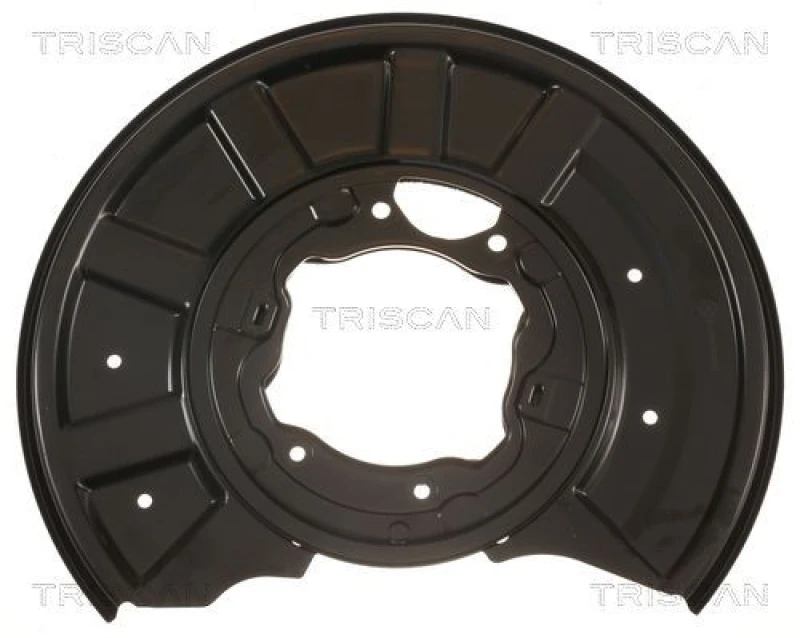 Image of TRISCAN Brake disc backing plate TRISCAN 8125 23221