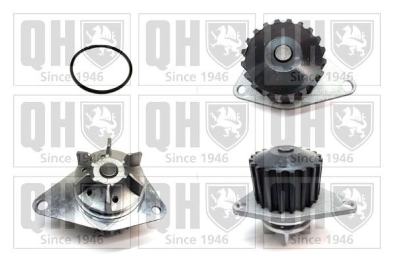 Image of QUINTON HAZELL Water pump QUINTON HAZELL QCP2492
