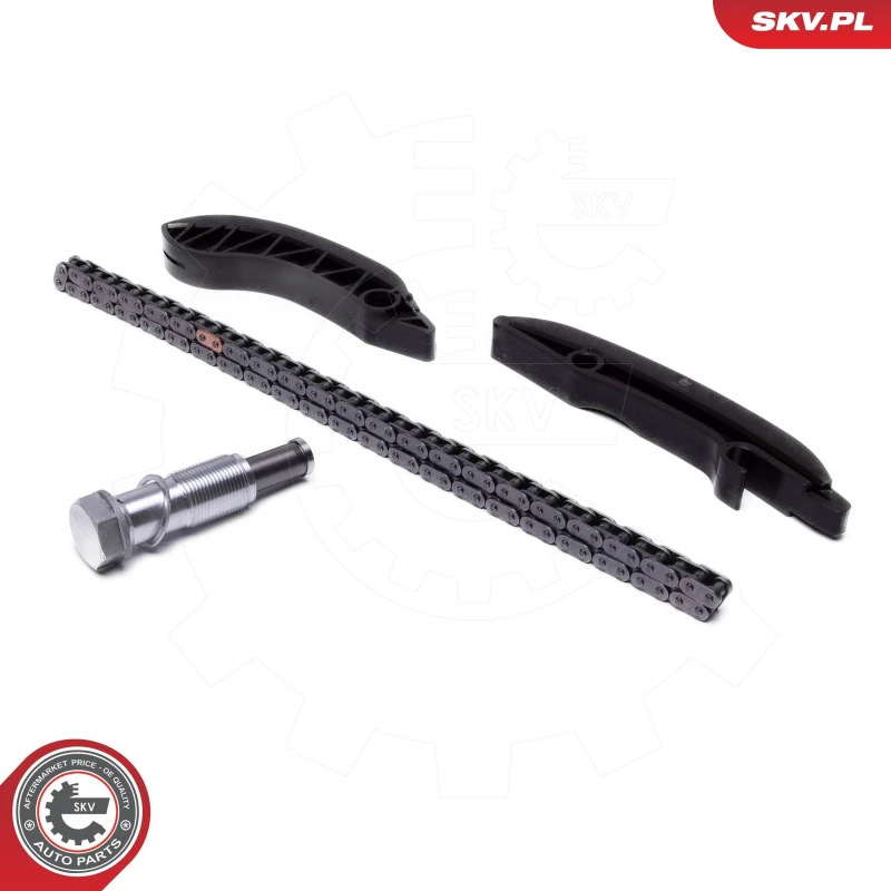 Image of ESEN SKV Timing chain kit ESEN SKV 21SKV249