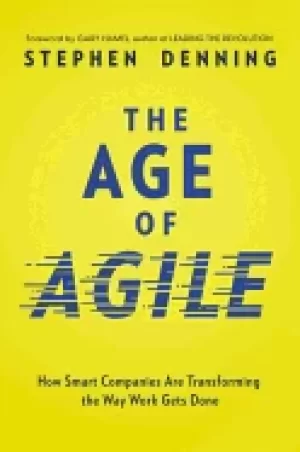 Image of age of agile how smart companies are transforming the way work gets done