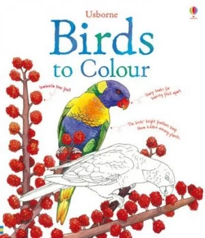 Image of Birds to Colour by Megan Cullis Book