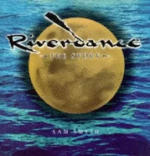 Image of riverdance the story