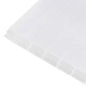 Image of Axiome Opal Effect Polycarbonate Multiwall Roofing Sheet (L)3M (W)690mm (T)16mm
