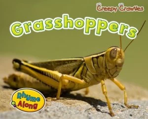 Image of Grasshoppers by Sin Smith