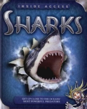 Image of Sharks by Stephen Savage Hardback