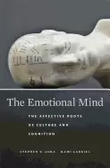 Image of emotional mind the affective roots of culture and cognition