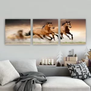 Image of PDR14 Multicolor Decorative Canvas Painting (3 Pieces)